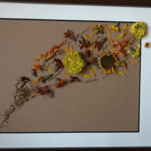 Meet your Posher, Jenni - Picture 4 of 13